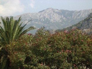 The mountains behind Budva
